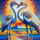 Awakening cover