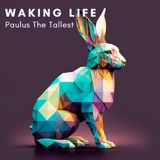 Waking Life cover