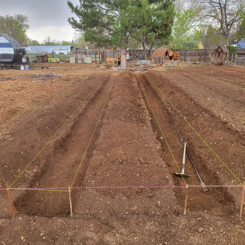 Photo from Farm, APR 2025