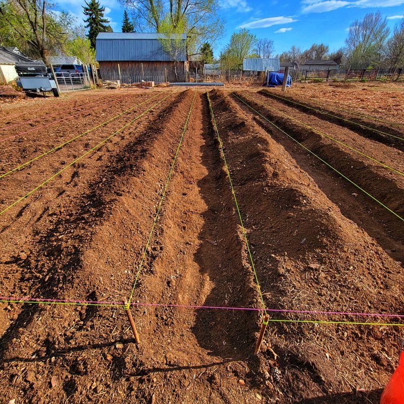 Photo from Farm, APR 2025