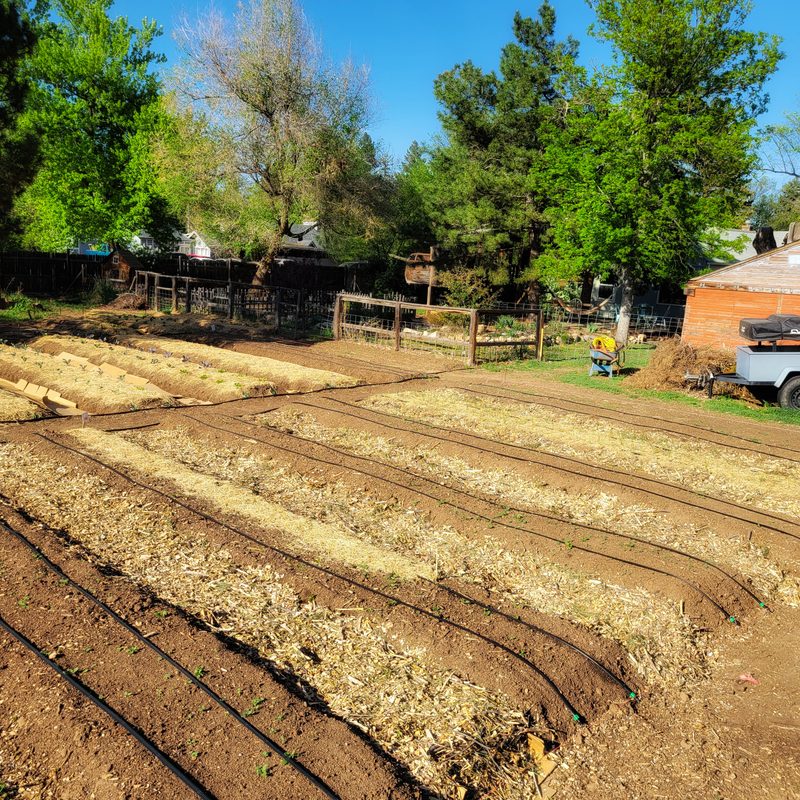 Photo from Farm, MAY 2025