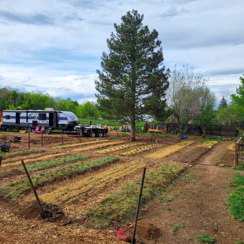 Photo from Farm, MAY 2025
