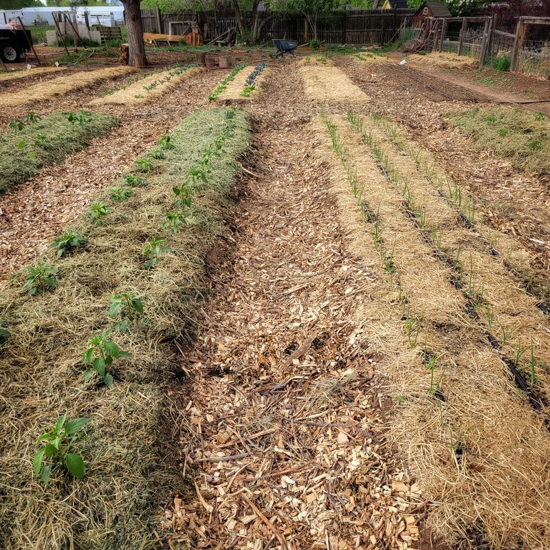Photo from Farm, MAY 2025