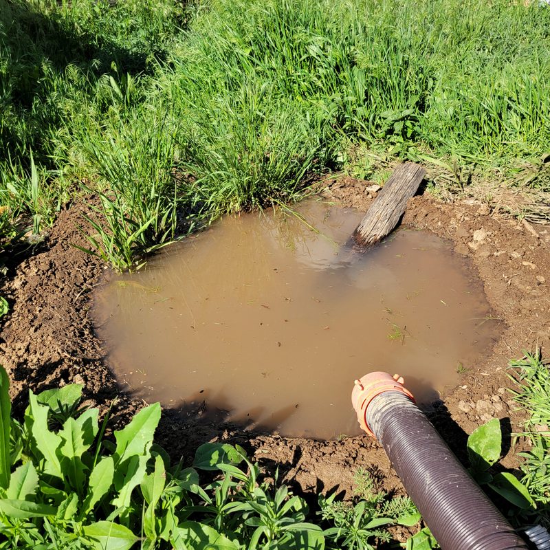 Photo from Farm, MAY 2025