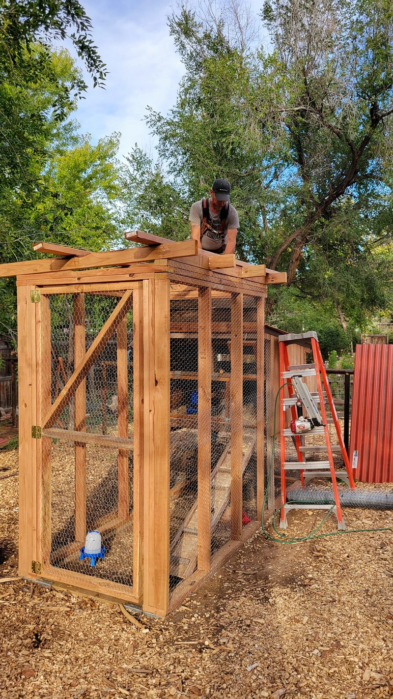 Photo from Farm, SEP 2025